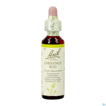 Bach flower remedie 07 chestnut bud    20ml