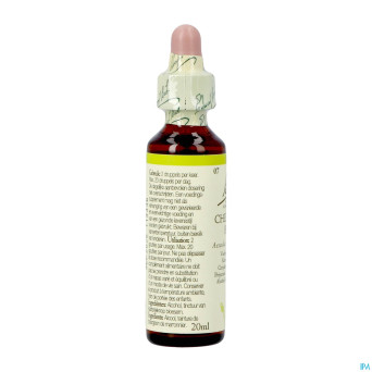 Bach flower remedie 07 chestnut bud    20ml