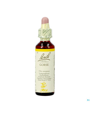 Bach flower remedie 13 gorse   20ml