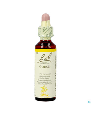 Bach flower remedie 13 gorse   20ml