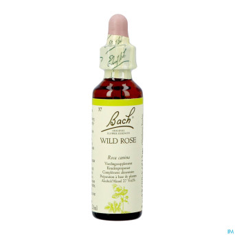 Bach flower remedie 37 wild rose    20ml