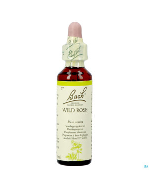 Bach flower remedie 37 wild rose    20ml