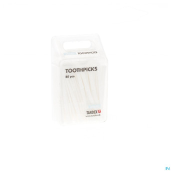 Tandex toothpicks plastic    t5 100