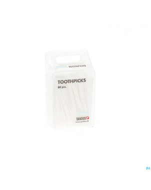 Tandex toothpicks plastic    t5 100