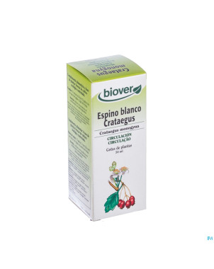 Biover infusettes bio circulation    sachet 20