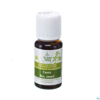 Cassis    glyc.mac 15ml