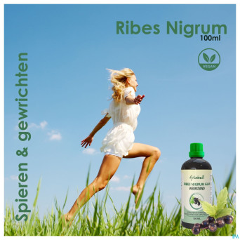 Fytobell ribes nigrum glm    100ml