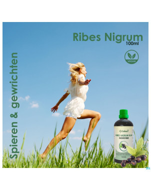 Fytobell ribes nigrum glm    100ml