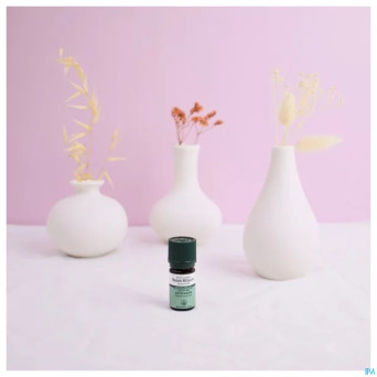 Estragon bio    huile ess  5ml