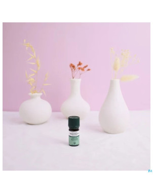 Estragon bio    huile ess  5ml