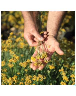 Helichryse bio    huile ess  5ml