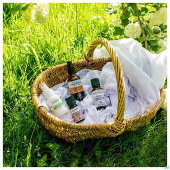 Lavande aspic bio    huile ess 10ml