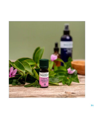 Marjolaine a coquille bio    huile ess 10ml