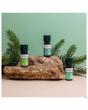 Pin sylvestre bio    huile ess 10ml