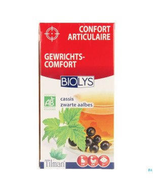 Biolys cassis bio    tea-bags 20