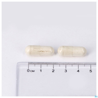 Dolomite 500mg caps 60 lepivits