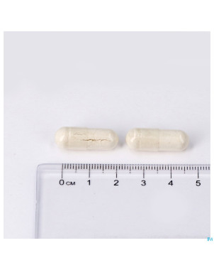 Dolomite 500mg caps 60 lepivits