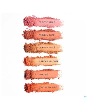 Tlc teint faj poudre 02 rose sablee    5g