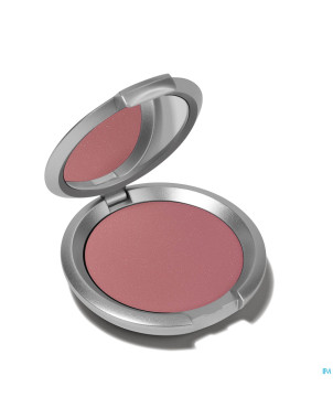 Tlc teint faj poudre 03 brun rose    5g