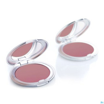 Tlc teint faj poudre 03 brun rose    5g