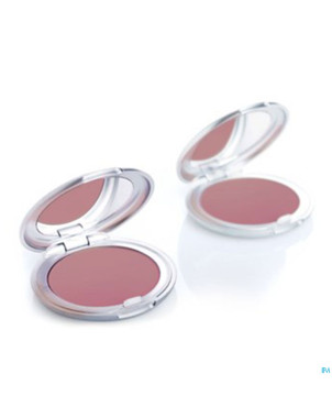 Tlc teint faj poudre 03 brun rose    5g