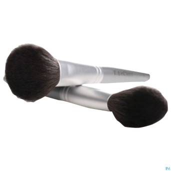 Tlc pinceau poudre pin1