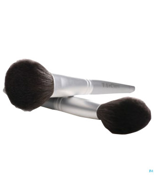 Tlc pinceau poudre pin1