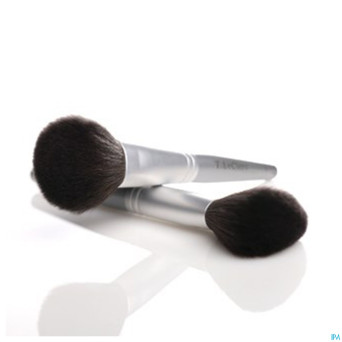 Tlc pinceau poudre pin1