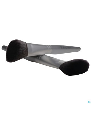 Tlc pinceau blush biseaute pin2