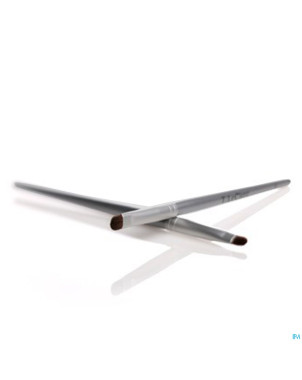 Tlc pinceau contour yeux pin6