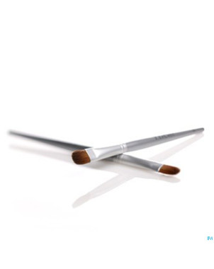 Tlc pinceau paupieres pm pin8