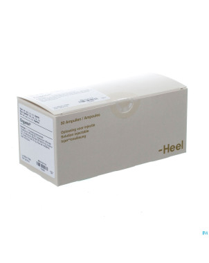 Engystol    amp 50 heel