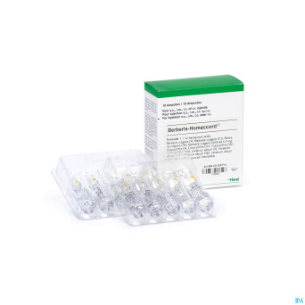 Berberis homaccord    amp 10x1,1ml heel
