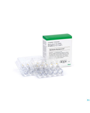 Berberis homaccord    amp 10x1,1ml heel
