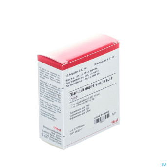 Glandula suprarenal. suis injeel amp 10x1,1ml heel