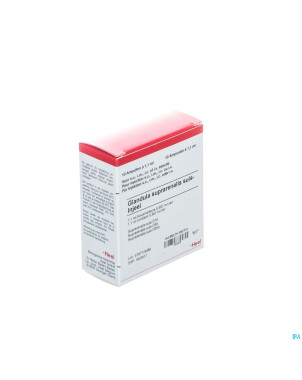 Glandula suprarenal. suis injeel amp 10x1,1ml heel