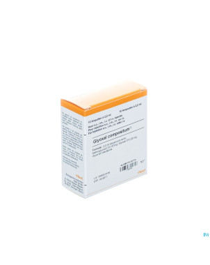 Glyoxal compositum i    amp 10x2,2ml heel