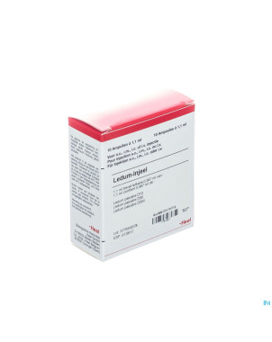 Ledum injeel    amp 10x1,1ml heel