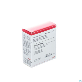 Ledum injeel    amp 10x1,1ml heel