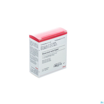 Musculus suis injeel    amp 10x1,1ml heel