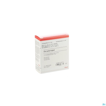 Os suis injeel    amp 10x1,1ml heel