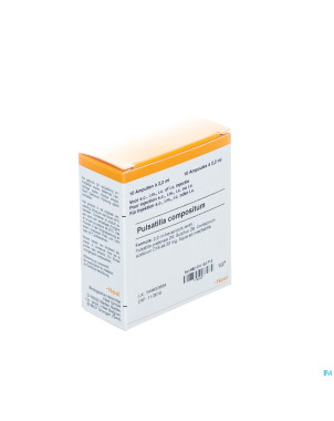 Pulsatilla compositum i    amp 10x2,2ml heel