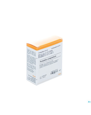 Pulsatilla compositum i    amp 10x2,2ml heel
