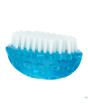 Cartel brosse ongles galet couleur    5655