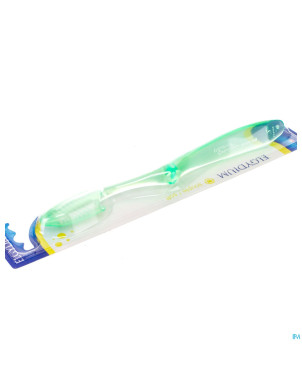 Creation neon s 4 couleurs brosse a dents souple