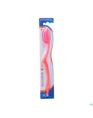 Creation neon m 4 couleurs brosse a dents medium