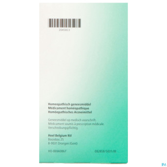 Zeel amp 100x2,0ml heel