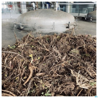 Angelique bio    huile ess  5ml