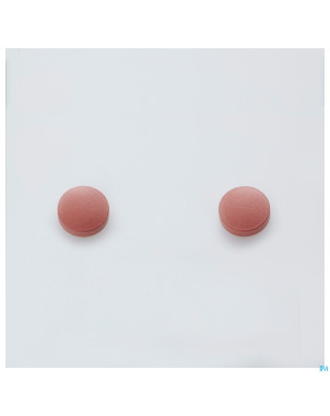 Tanakan tabl 90 x 40 mg