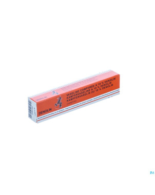 Monot vaseline camphre 10% 20g